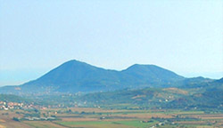 Contact image
